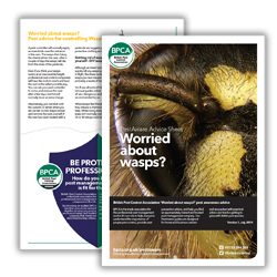 BPCA Worried about wasps PestAware Advice Sheet icon