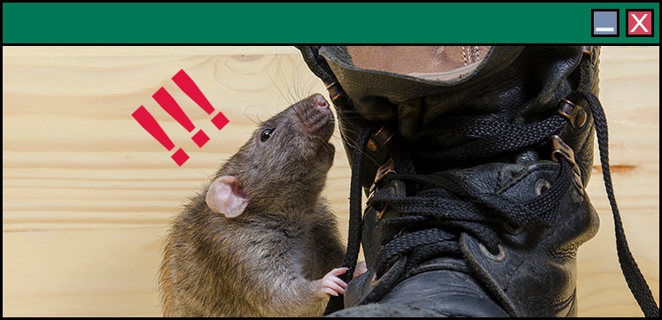 DEBATE WEBINAR: Are our control methods fuelling neophobia in rats?