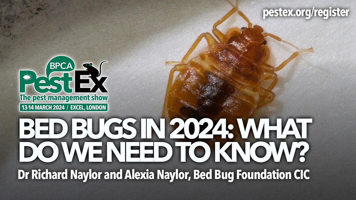 PestEx2024-bed-bugs-in-2024 PestEx2024-bed-bugs-in-2024
