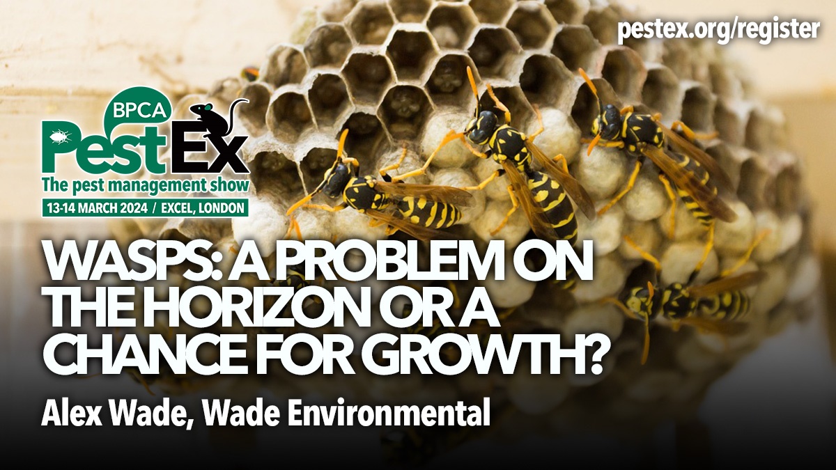 PestEx2024-wasps-problem-or-growth-alex-wade-hero PestEx2024-wasps-problem-or-growth-alex-wade-hero