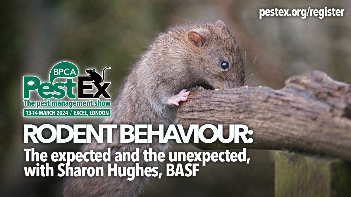 rodent-behaviour-sharon-hughes-pestex rodent-behaviour-sharon-hughes-pestex