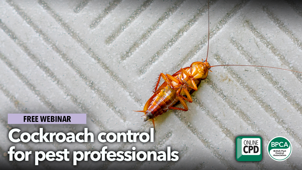Cockroach control for professional pest management webinar Cockroach control for professional pest management webinar