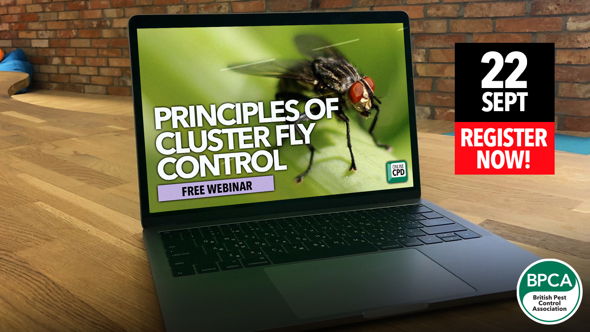 Principles of Cluster Fly Control professional pest management free webinar online event Principles of Cluster Fly Control professional pest management free webinar online event