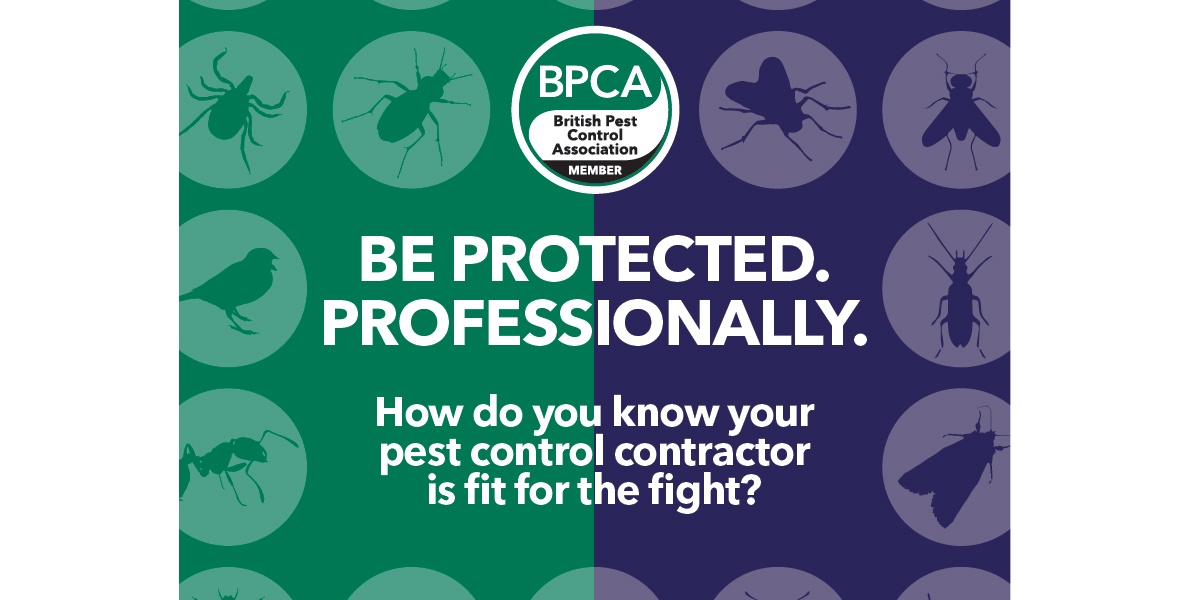 Be Protected professionally BPCA member