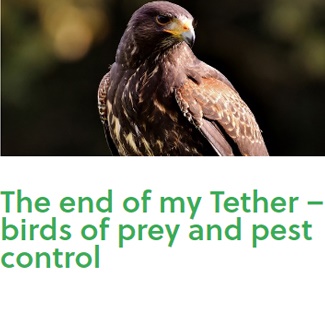 The End Of My Tether Birds Of Prey And Pest Control