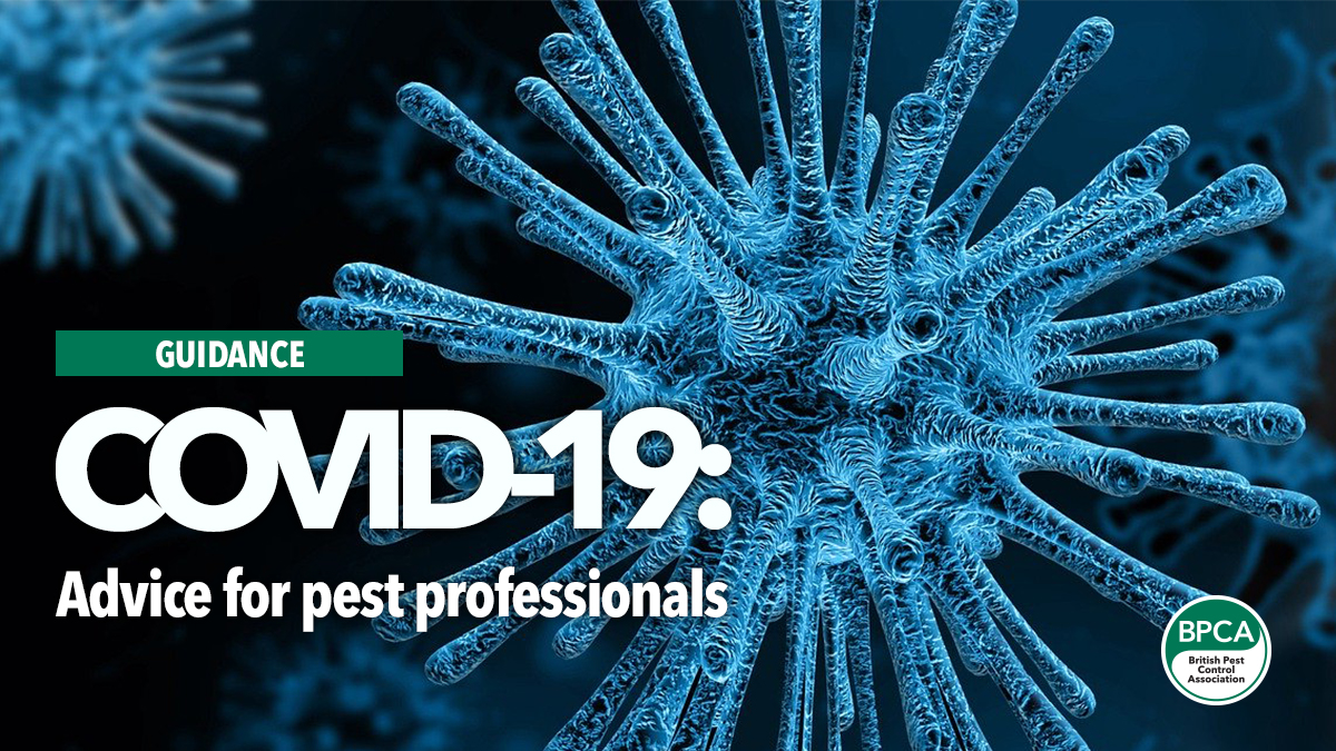 Updated Advice For Pest Professionals Operating During Covid 19 Pandemic