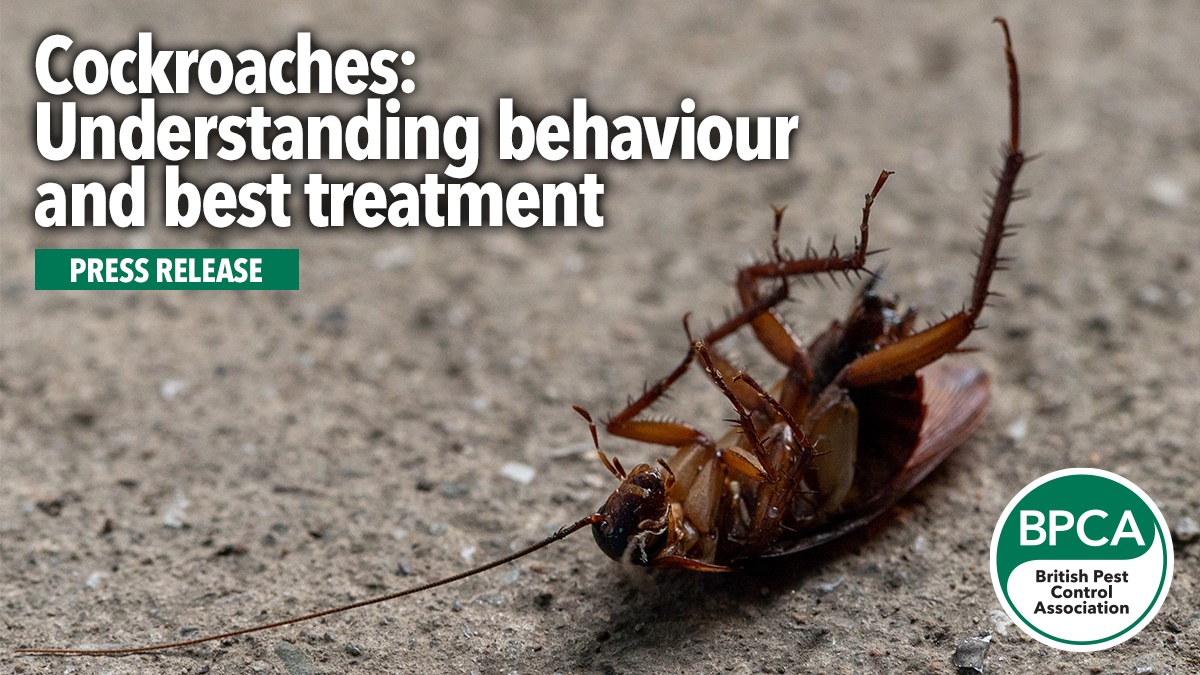 Effective Cockroach Control: Diversify Your Plan of Attack