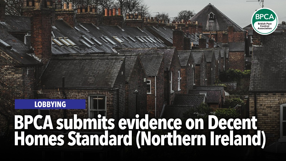BPCA submits evidence on Decent Homes Standard (Northern Ireland)