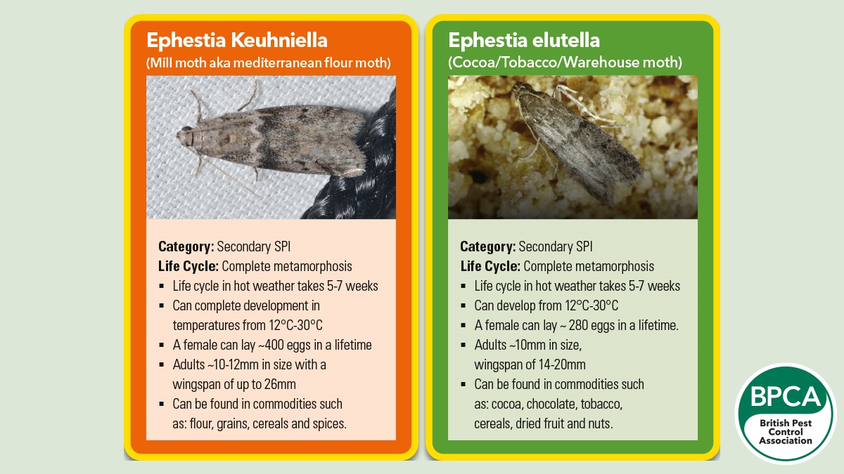 Battling Stored Product Insect (SPI) infestations