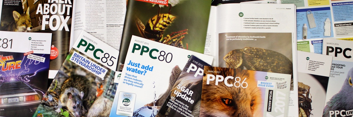 PPC-Banner PPC-Banner
