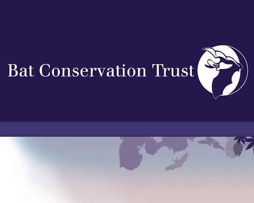 Bat Conservation Trust and BPCA Bat Conservation Trust and BPCA