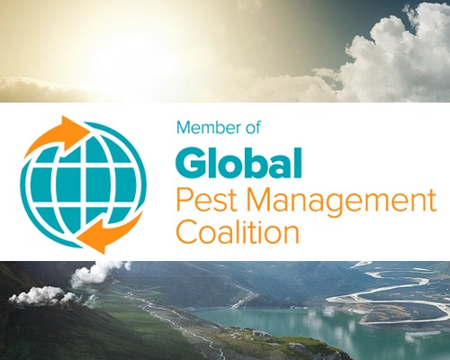 Member of the Global Pest Management Coalition British Pest Control Association Member of the Global Pest Management Coalition British Pest Control Association