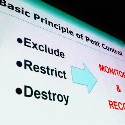 starting out in pest control title image
