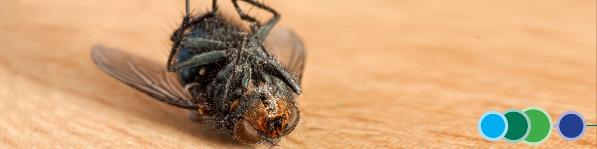 Starting and Managing Your Own Pest Management Business banner