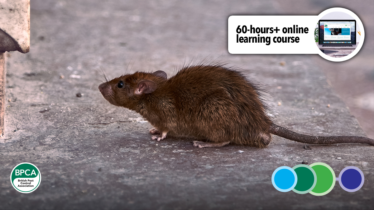 Level 2 Pest Management 60 Hours Online Learning Course